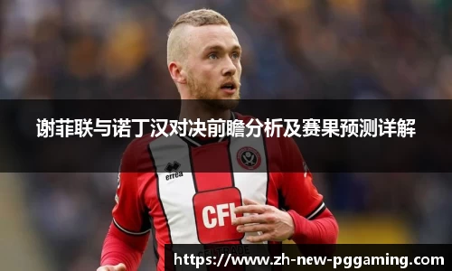 谢菲联与诺丁汉对决前瞻分析及赛果预测详解